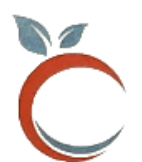 Sunlit nail salon icon with citrus slice accent